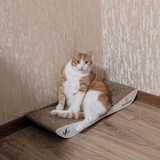Telegram profile photo for Наявність Кішкодівчинки