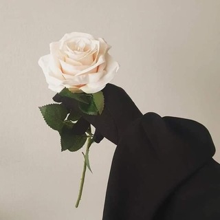 Telegram profile photo for {وَقَرْنَ فِي بُيُوتِكُنَّ}