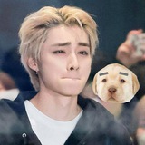 Telegram profile photo for Xiaojun