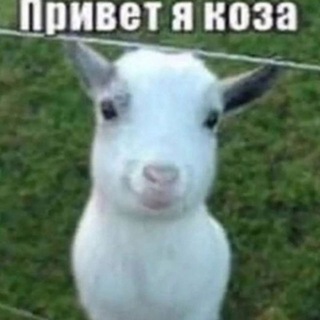 Telegram profile photo for антифанаты канзенкеви