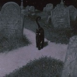 Telegram profile photo for 𝑆ℎ𝑒𝑙𝑡𝑒𝑟 𝑧𝑆𝑜𝑗1 🐈⬛️