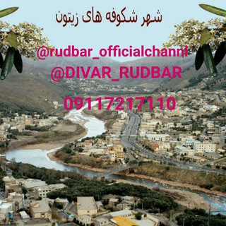 Telegram profile photo for کانال رسمی رودبار زیتون
