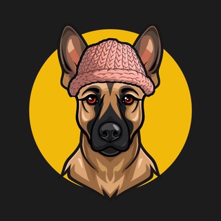 Telegram profile photo for Broccoli Wif Hat 🐕
