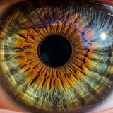 Telegram profile photo for π΄π΅π’π³π₯πΆπ΄π΅....
