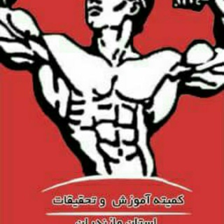 Telegram profile photo for کانال آموزش بدنسازی و پرورش اندام دانشگاهی استان مازندران