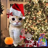 Telegram profile photo for Мемный