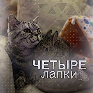 Telegram profile photo for Продаю