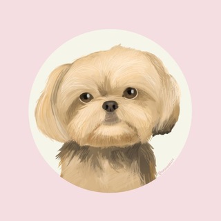 Telegram profile photo for Уɯᴀᴄᴛыᴇ ᴄᴨᴧᴇᴛни