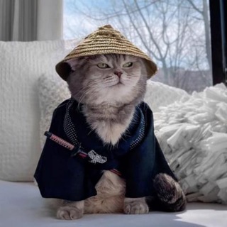 Telegram profile photo for 网易文案馆