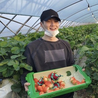 Telegram profile photo for strawberry fields ᡣ𐭩