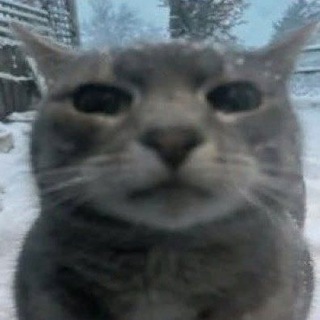 Telegram profile photo for d3edx