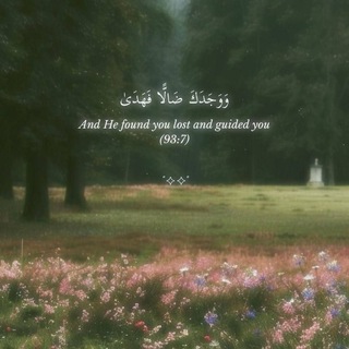 Telegram profile photo for ديـسمبر