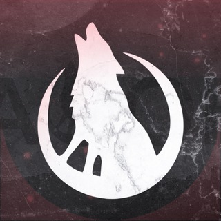 Telegram profile photo for AOOF Shop | Стильные товары для жизни
