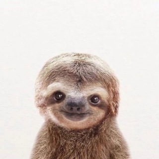 Telegram profile photo for zucl1ck 🦥