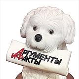 Telegram profile photo for малой архив