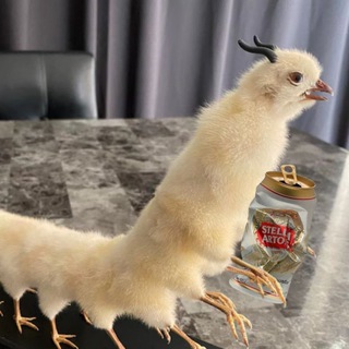 Telegram profile photo for Centipedeeee Portal