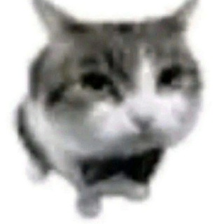 Telegram profile photo for Sapelerin