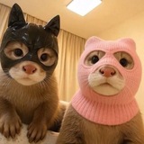 Telegram profile photo for Criminals