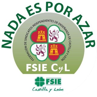 Telegram profile photo for FSIE CyL