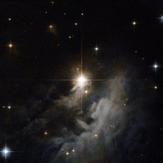 Telegram profile photo for star.