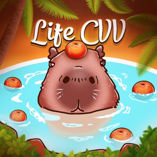 Telegram profile photo for life cvv ➜ boost your brain