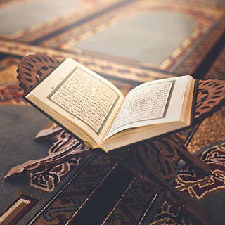 Telegram profile photo for Qurani Kərim öyrənirəm