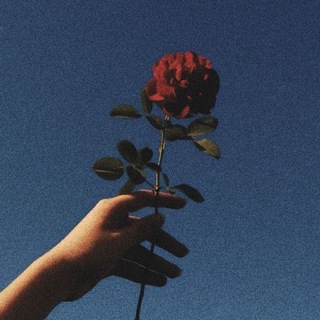 Telegram profile photo for loneliness...