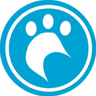 Telegram profile photo for grizzlysporthit