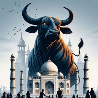 Telegram profile photo for Mumbai Live
