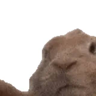 Telegram profile photo for Клиника