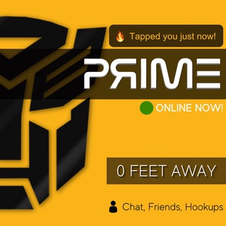 Telegram profile photo for PЯIMΞ & FRIENDS