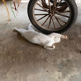 Telegram profile photo for brown share everything.
