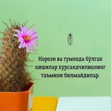 Telegram profile photo for Гулчи