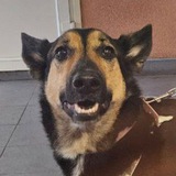 Telegram profile photo for Работа по субботам