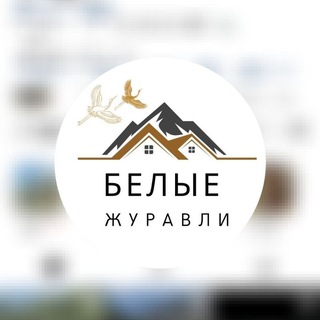 Telegram profile photo for belie_juravli 🕊️🕊️🕊️