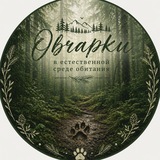 Telegram profile photo for Овчарки в естественной среде обитания