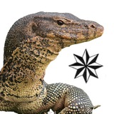 Telegram profile photo for варан в законе