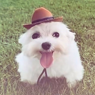 Telegram profile photo for Ээ. Крутейший Жека