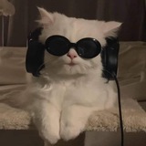 Telegram profile photo for سين جيم Sin Jim🙂🍂🖤