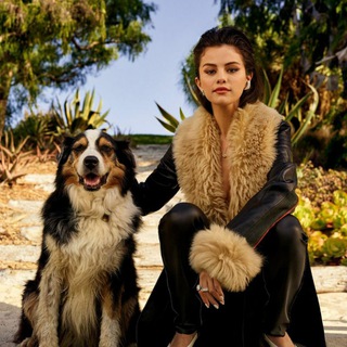Telegram profile photo for Selenators