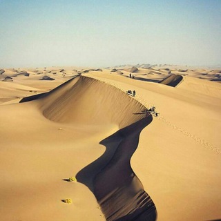 Telegram profile photo for ورزنه گرام