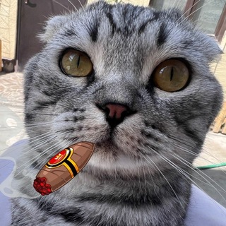 Telegram profile photo for Матик