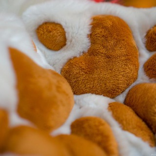 Telegram profile photo for Fursuit paws