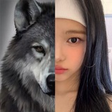 Telegram profile photo for information. ♡