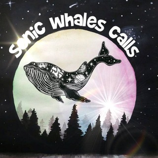 Telegram profile photo for 🐳Sonic Whales® Calls🐳