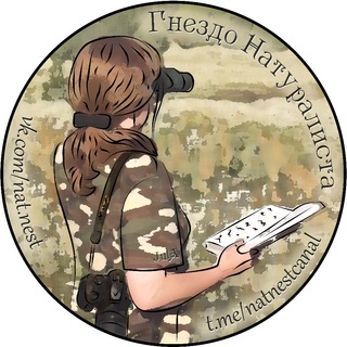 Telegram profile photo for Гнездо Натуралиста 🏕 Live