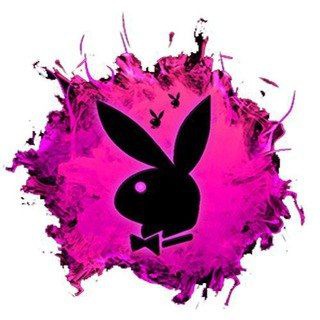 Telegram profile photo for CoinaryTV