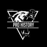 Telegram profile photo for Pro History
