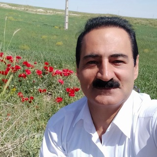 Telegram profile photo for مهدی خدابنده