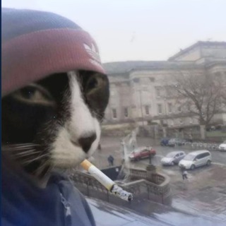 Telegram profile photo for Карнавал 18+